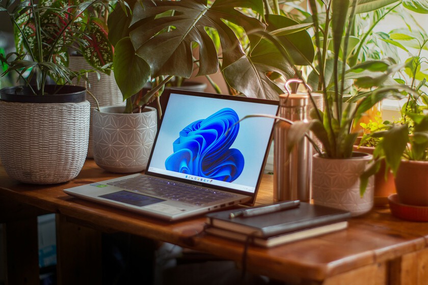 Pantalla de error en Windows 11 con mensaje de fallo crítico durante el arranque, mostrando problemas en actualizaciones de enero 2026