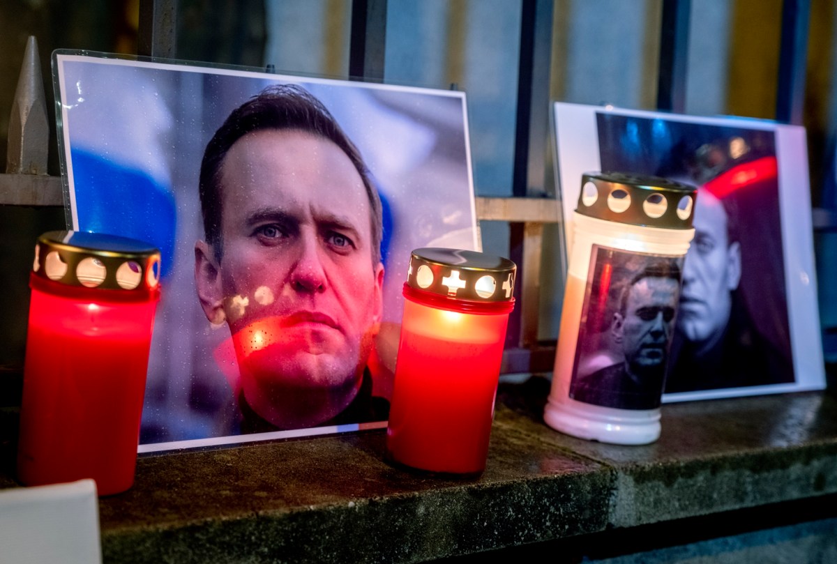 Rana venenosa sudamericana cuya toxina epibatidina fue detectada en el cuerpo de Alexei Navalny, según análisis europeos