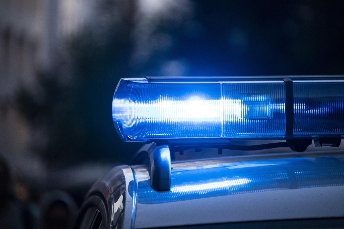 Cuerpo de un hombre de 71 años encontrado bajo un velero en los muelles de San Carlos, Sonora, durante operativo de búsqueda
