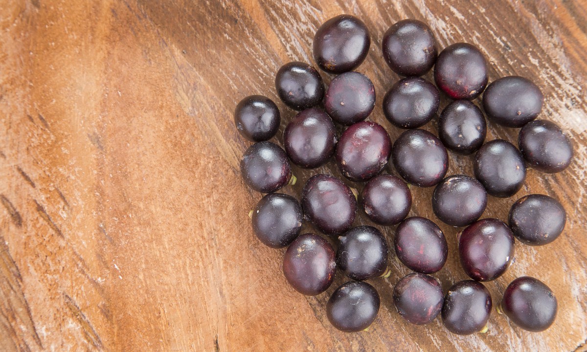 Fruto de corozo morado con pulpa jugosa, rico en proantocianidinas y antioxidantes que combaten el cáncer según estudios científicos