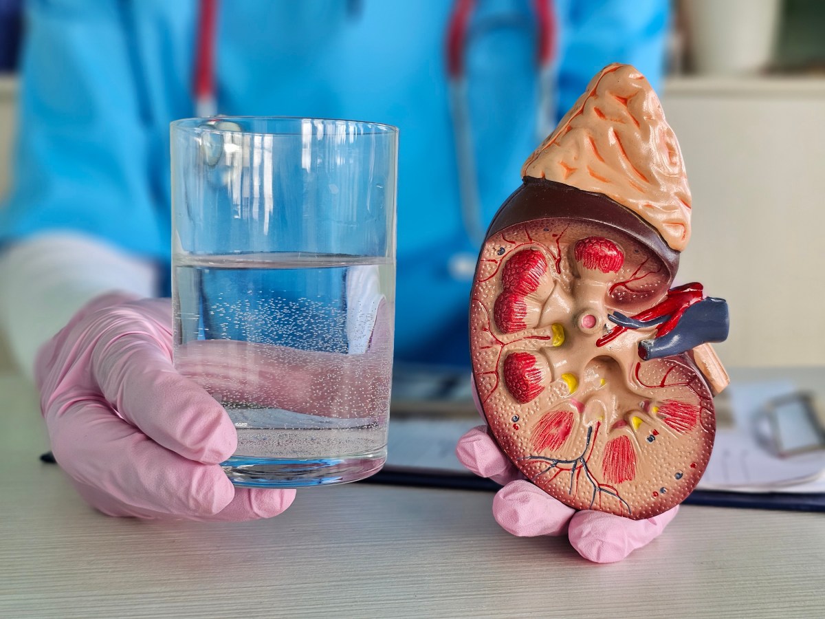 Vaso de agua mineral con burbujas junto a un riñón anatómico, destacando su efecto protector según estudios científicos recientes