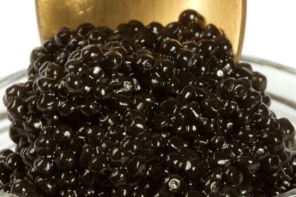 Perlas brillantes de 'caviar' vegano hechas con semillas de chía y alga nori sobre una cuchara negra, textura gelatinosa realista