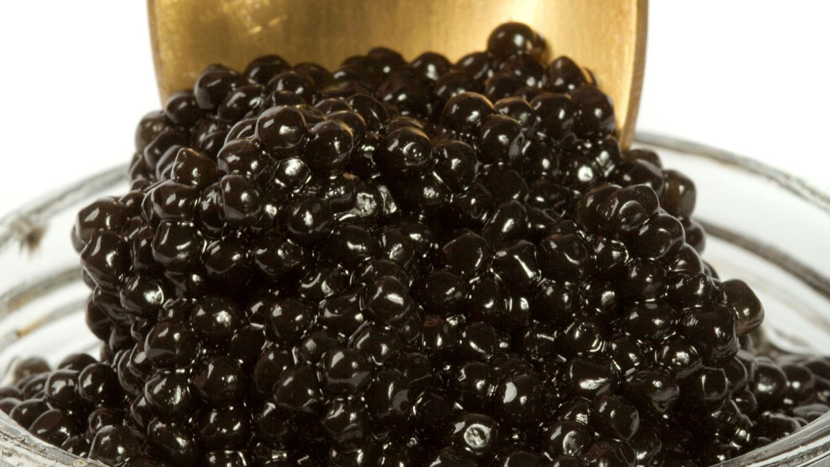 Perlas brillantes de 'caviar' vegano hechas con semillas de chía y alga nori sobre una cuchara negra, textura gelatinosa realista