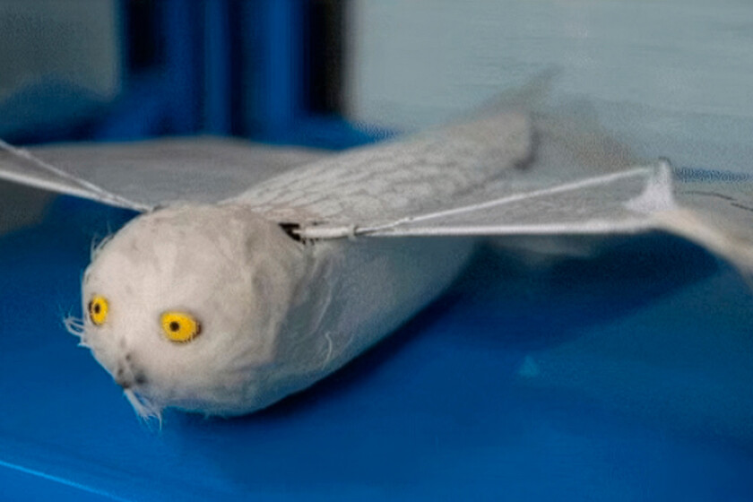 Prototipo de dron con alas biónicas inspiradas en el vuelo de un águila, superando récords de autonomía sin hélices