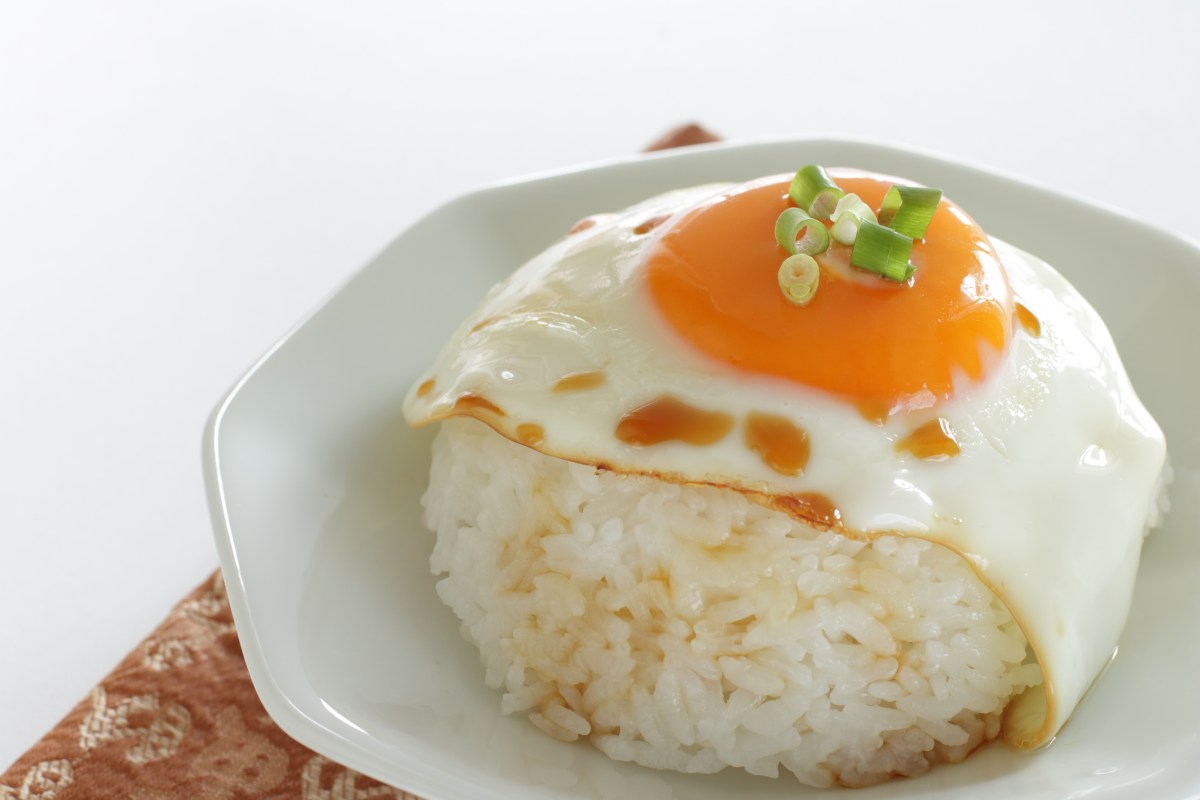 Plato de arroz con huevo revuelto mostrando la combinación perfecta de proteína y carbohidratos para energía y concentración