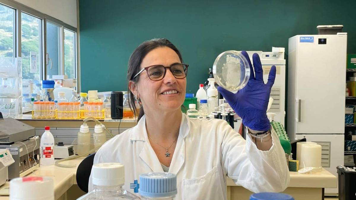 Gráfico comparativo de microbioma intestinal antes y después de tratamiento con dolutegravir en pacientes con VIH avanzado