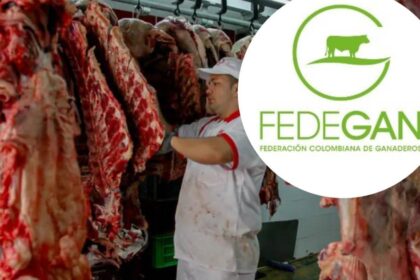 Gráfico comparativo del alza del precio del kilo de carne en Colombia: de $27.502 en 2025 a $31.819 en 2026 según datos del Sipsa-Dane