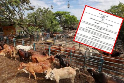 Reses jóvenes en un corral con etiqueta de 'arancel 10%' simbolizando la nueva medida gubernamental para controlar precios