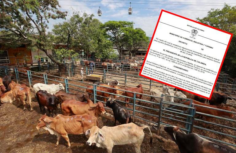 Reses jóvenes en un corral con etiqueta de 'arancel 10%' simbolizando la nueva medida gubernamental para controlar precios