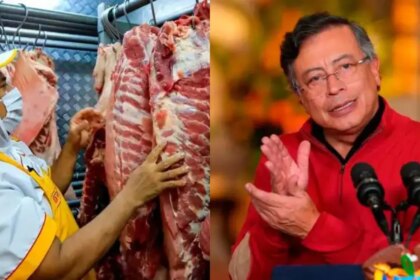 Gráfico comparativo de exportaciones de carne bovina colombiana en 2025 con reses en potrero y datos de producción récord de 800.000 toneladas