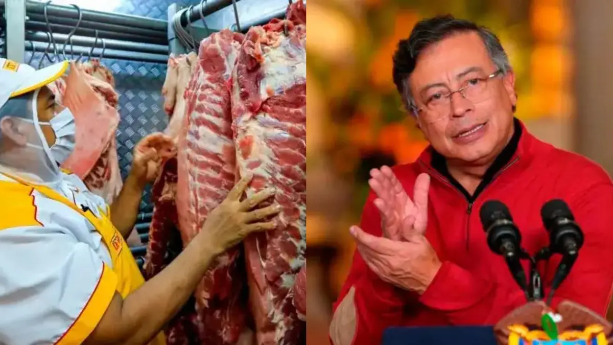 Gráfico comparativo de exportaciones de carne bovina colombiana en 2025 con reses en potrero y datos de producción récord de 800.000 toneladas