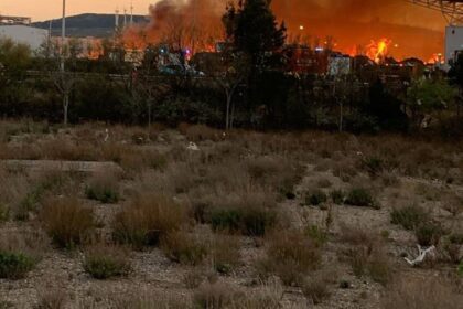 Bomberos de Zaragoza combatiendo llamas y humo negro en incendio industrial del PTR con autobombas y escala articulada