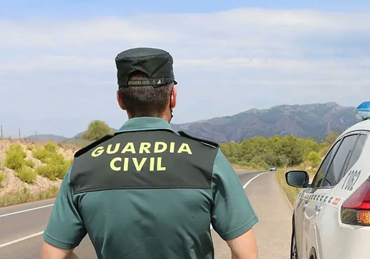 Agentes de la Guardia Civil realizando maniobras de RCP urgente a un conductor con paro cardíaco en la carretera N-2