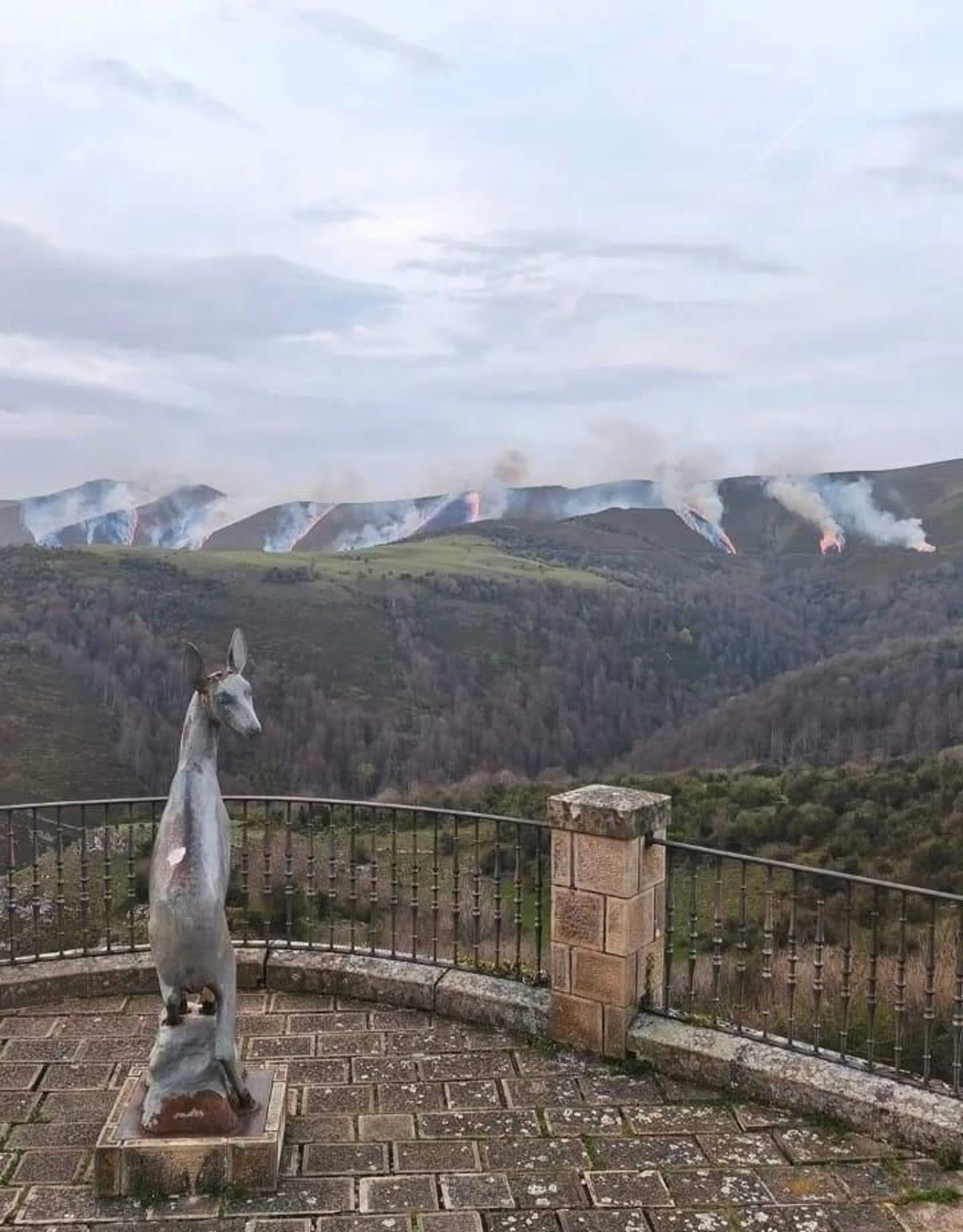 Bosque quemado en Cantabria tras los incendios de 2026 con 10.000 hectáreas afectadas y equipos de extinción trabajando en la zona