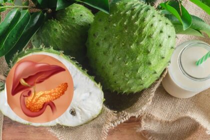 Corte transversal de guanábana fresca mostrando su pulpa blanca y semillas negras, destacando sus propiedades hepatoprotectoras respaldadas por estudios científicos sobre su efecto en hígado graso y oxidación celular
