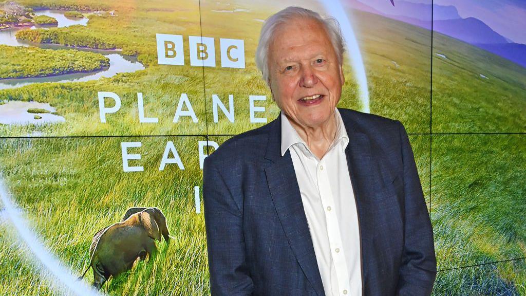 David Attenborough en las montañas de Ruanda, observando a un gorila de montaña con mirada cómplice en 1978, imagen que revolucionó los documentales