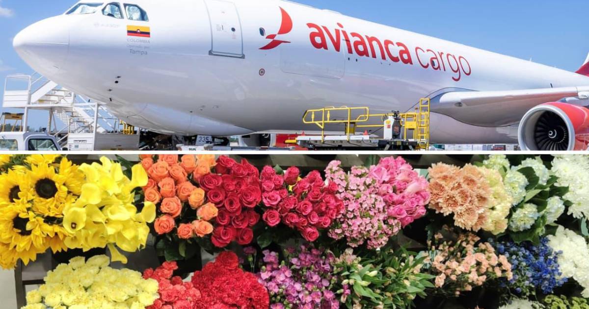 Carga aérea masiva de flores colombianas listas para exportación a EE.UU. en operación récord 2026