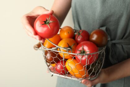Tomates rojos cortados con cuchillo serrado mostrando su jugosa pulpa y piel intacta, clave para preservar su aroma cítrico
