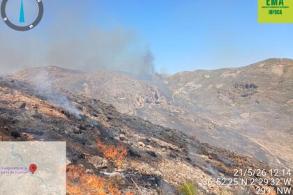 Brigadas del Infoca trabajando en un cortafuegos con humo denso al fondo en un pinar de Andalucía