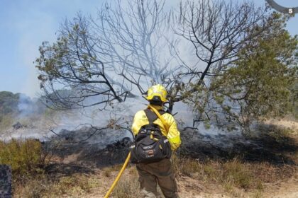 Brigadistas trabajando en zona calcinada del incendio de Doñana 2023, con vegetación intacta en primer plano como 'semillero' natural