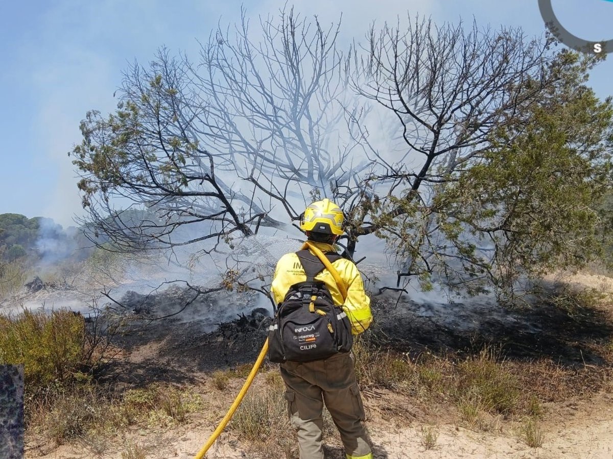 Brigadistas trabajando en zona calcinada del incendio de Doñana 2023, con vegetación intacta en primer plano como 'semillero' natural