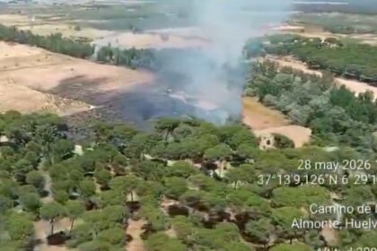 Helicóptero del Plan Infoca vertiendo agua sobre llamas en zona agrícola de La Pañuela, Almonte, con equipos en tierra coordinando la extinción