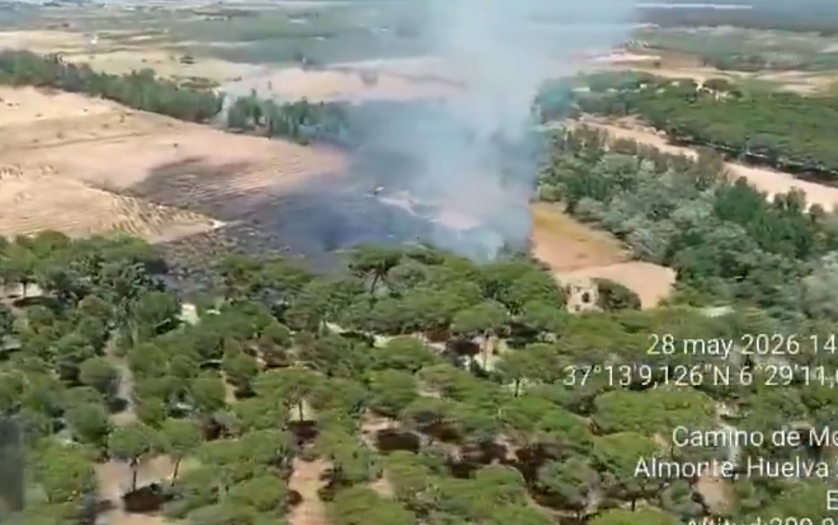 Helicóptero del Plan Infoca vertiendo agua sobre llamas en zona agrícola de La Pañuela, Almonte, con equipos en tierra coordinando la extinción