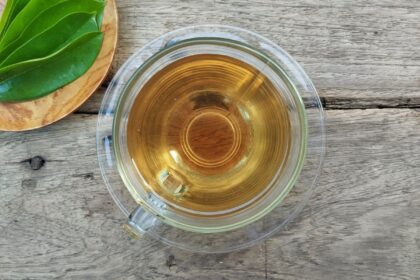 Hojas verdes de guanábana en infusión humeante con fondo de estudio científico y gráficos moleculares de acetogeninas