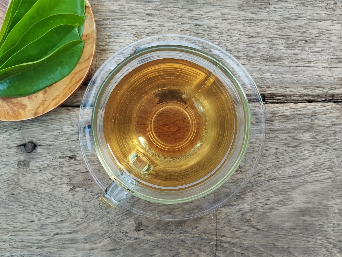 Hojas verdes de guanábana en infusión humeante con fondo de estudio científico y gráficos moleculares de acetogeninas