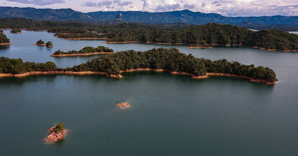 Gráfico de niveles de embalses en Colombia al 70% con alerta por fenómeno de El Niño y meta del 80%