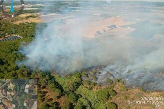 Aviones anfibios del Infoca descargando agua sobre el incendio forestal en Tariquejo, Huelva, con humo denso y vegetación ardiente
