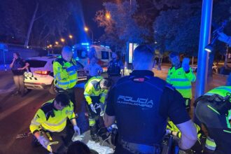 Motorista en el suelo tras pérdida de control en el Paseo de la Castellana, zona con juntas de dilatación visibles y asfalto irregular