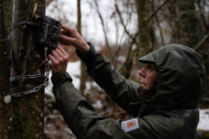 Sara Beery del MIT analizando imágenes de cámaras trampa con IA para conservación de biodiversidad