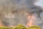 Estabilizado el incendio forestal próximo a Islantilla Golf en Lepe (Huelva) y el Infoca baja a situación operativa 0