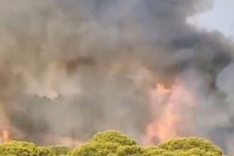 Estabilizado el incendio forestal próximo a Islantilla Golf en Lepe (Huelva) y el Infoca baja a situación operativa 0