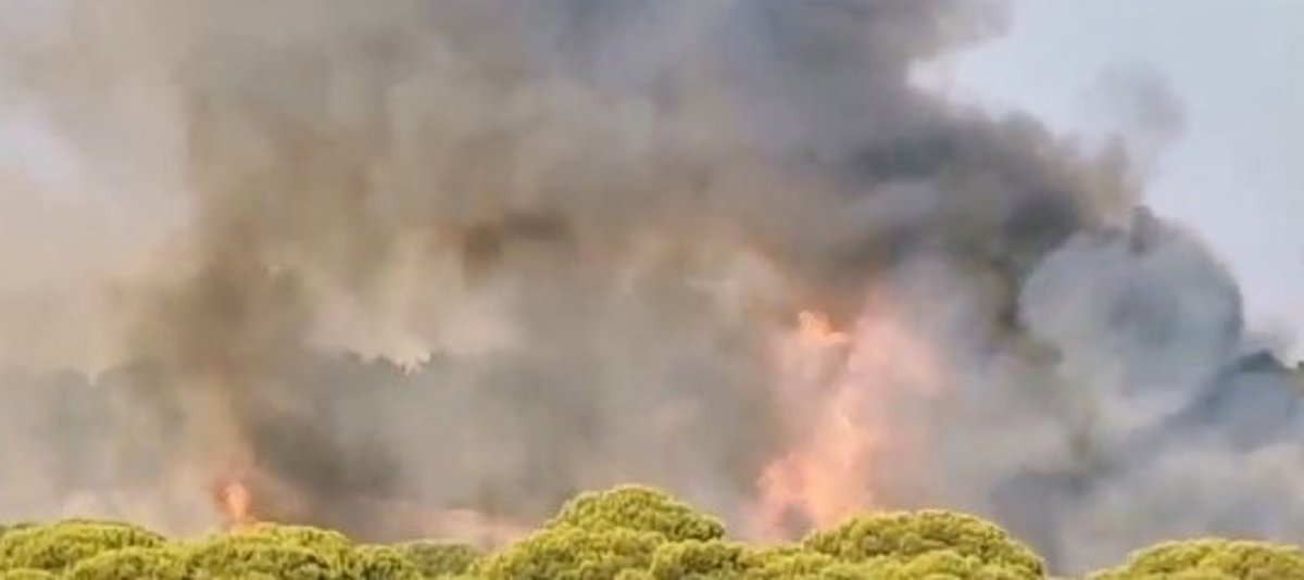 Estabilizado el incendio forestal próximo a Islantilla Golf en Lepe (Huelva) y el Infoca baja a situación operativa 0